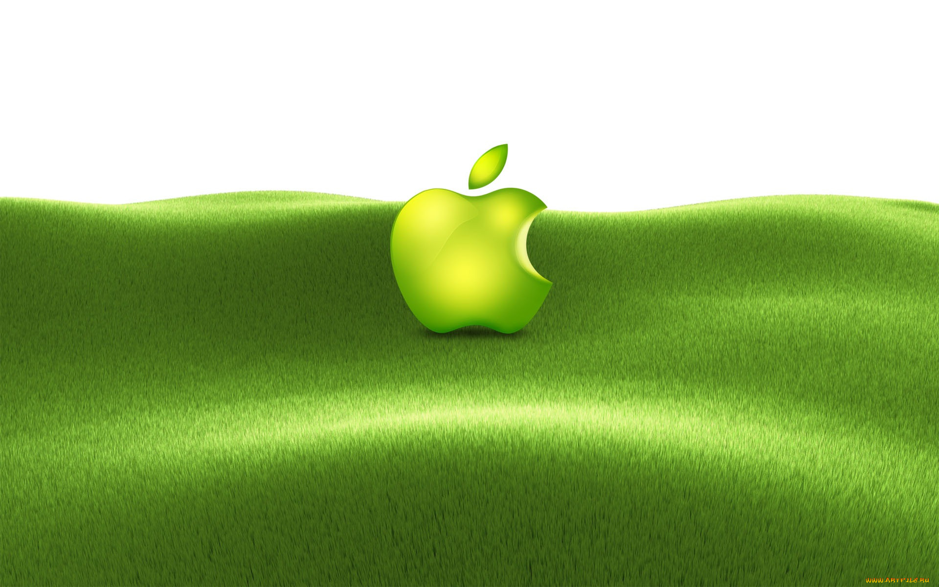 , apple, , 